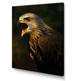 Portrait Of Eagle Nature Photography - Eagle Wall Art Prints