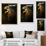 Portrait Of Eagle Nature Photography - Eagle Wall Art Prints