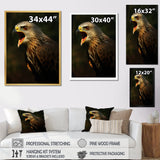 Portrait Of Eagle Nature Photography - Eagle Wall Art Prints
