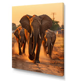Glorious Elephant In The Wild At Sunset Wildlife - Black Elephant Wall Art