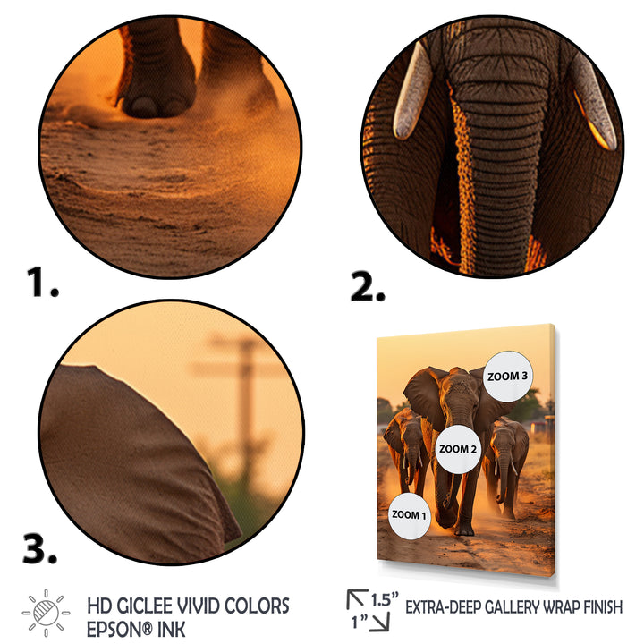 Glorious Elephant In The Wild At Sunset Wildlife - Black Elephant Wall Art
