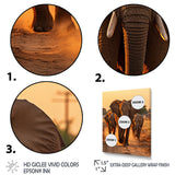 Glorious Elephant In The Wild At Sunset Wildlife - Black Elephant Wall Art