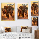 Glorious Elephant In The Wild At Sunset Wildlife - Black Elephant Wall Art