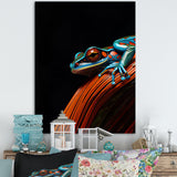 Portrait Of Pinstriped Tree Frog Wildlife - Frog Home Decor Art