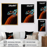 Portrait Of Pinstriped Tree Frog Wildlife - Frog Home Decor Art