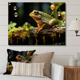 Portrait Of Green Frog Nature Photography - Frog Bedroom Wall Art