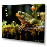 Portrait Of Green Frog Nature Photography - Frog Bedroom Wall Art