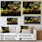 Portrait Of Green Frog Nature Photography - Frog Bedroom Wall Art