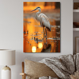 Portrait Of White Heron Wildlife Photography - Heron Wall Decor
