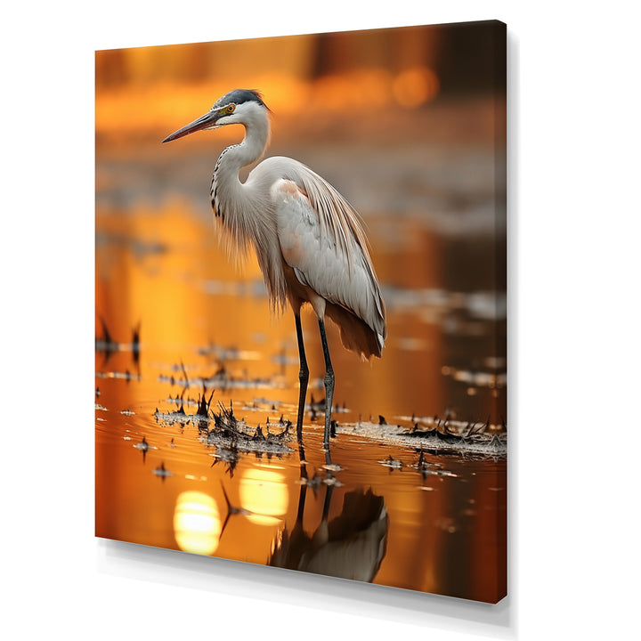 Portrait Of White Heron Wildlife Photography - Heron Wall Decor