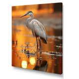 Portrait Of White Heron Wildlife Photography - Heron Wall Decor