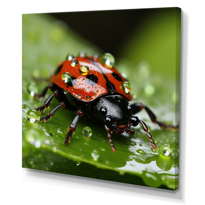 Portrait Of Lady Bug Macro Photography - Insects &amp; Bugs Framed Canvas Art