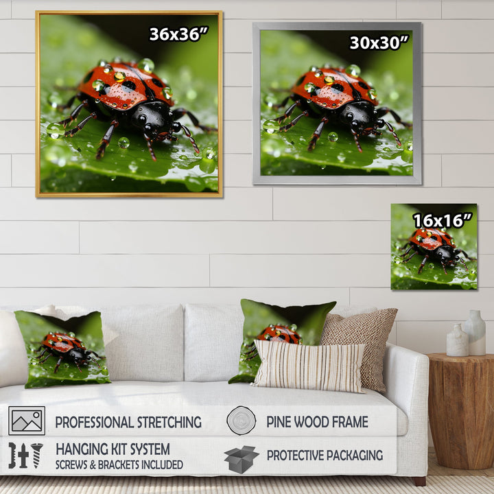 Portrait Of Lady Bug Macro Photography - Insects &amp; Bugs Framed Canvas Art