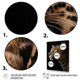 Stunning Portrait Of Leopard Wildlife - Leopard Living Room Wall Art