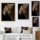 Stunning Portrait Of Leopard Wildlife - Leopard Living Room Wall Art