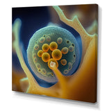Macro Photography Of Marine Cells - Marine Animals Bedroom Wall Art
