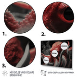 Portrait Of Red Mystical Octopus Photography - Octopus Framed Canvas Art