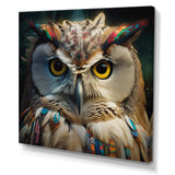 Portrait Of White Owl Wildlife Photography - Owl Bedroom Wall Art