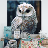 White Owl's Wise Gaze - White Owl Wall Art