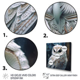 White Owl's Wise Gaze - White Owl Wall Art