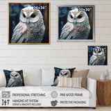White Owl's Wise Gaze - White Owl Wall Art