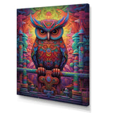 Purple Yellow Colorful Owl gaze - Purple Owl Wall Art