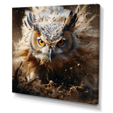 Portrait Of Brown Owl Wildlife Photography - White Owl Wall Art