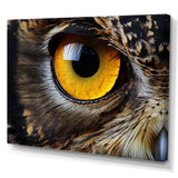 Close-up Of Eye Of Brown Owl Wildlife Photography - Owl Large Canvas Wall Art