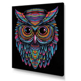 Psychedelic Owl Portrait On Black - Owl Home Decor Art