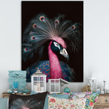 Portrait Of Pink Peacock - Peacock Wall Decor