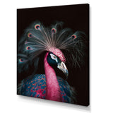 Portrait Of Pink Peacock - Peacock Wall Decor