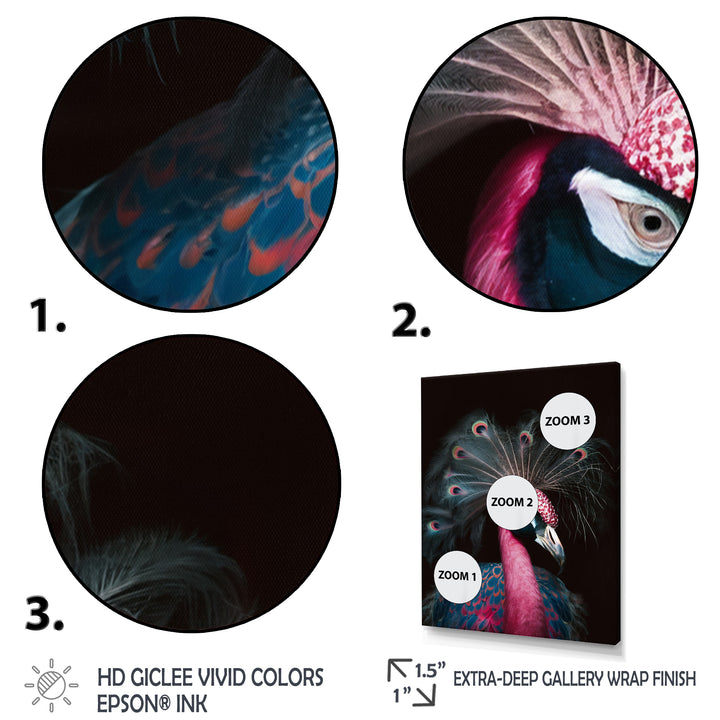 Portrait Of Pink Peacock - Peacock Wall Decor