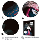 Portrait Of Pink Peacock - Peacock Wall Decor