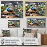 Photography Portrait Of Blue Peacock - Peacock Framed Canvas Art
