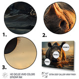 Wild Rhino In The Water Wildlife Photography - Rhino Bedroom Wall Art