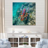Purple Majestic Lobster Turquoise Tropical Water - Marine Animals Wall Art Prints