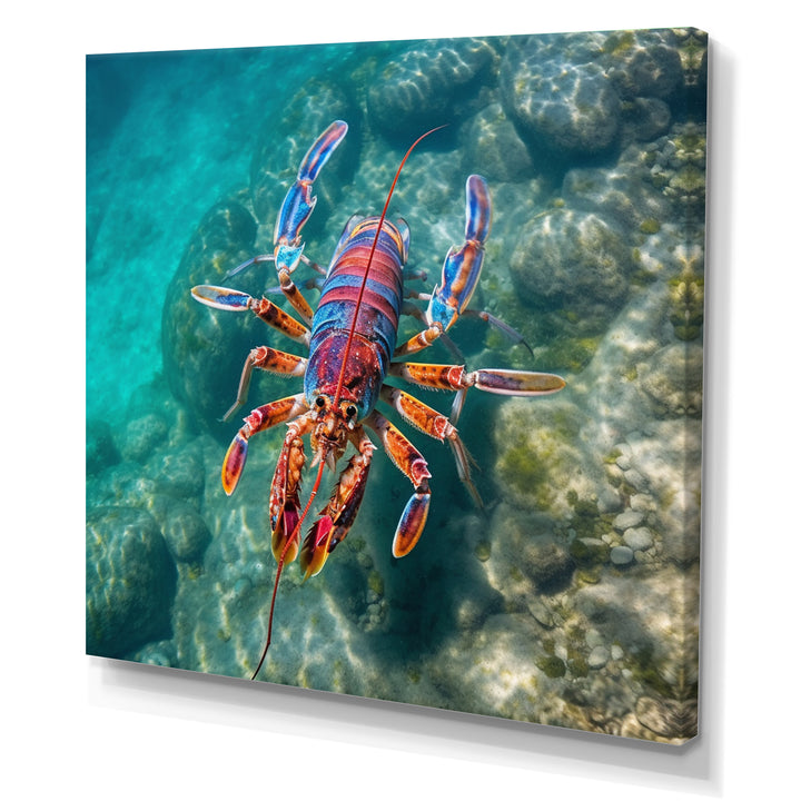 Purple Majestic Lobster Turquoise Tropical Water - Marine Animals Wall Art Prints