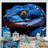 Blue Anaconda Snake Wildlife Photography - Blue Snake Wall Art
