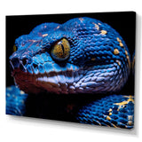 Blue Anaconda Snake Wildlife Photography - Blue Snake Wall Art