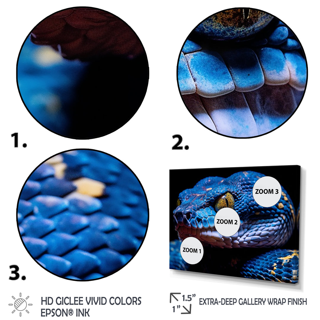 Blue Anaconda Snake Wildlife Photography - Blue Snake Wall Art