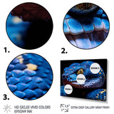 Blue Anaconda Snake Wildlife Photography - Blue Snake Wall Art