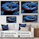 Blue Anaconda Snake Wildlife Photography - Blue Snake Wall Art
