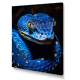 Portrait Of Blue Viper Snake Wildlife - Snake Large Canvas Wall Art