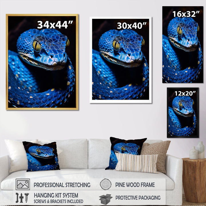 Portrait Of Blue Viper Snake Wildlife - Snake Large Canvas Wall Art