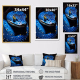 Portrait Of Blue Viper Snake Wildlife - Snake Large Canvas Wall Art
