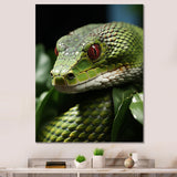 Portrait Of Green Snake Wildlife Photography - Snake Living Room Wall Art