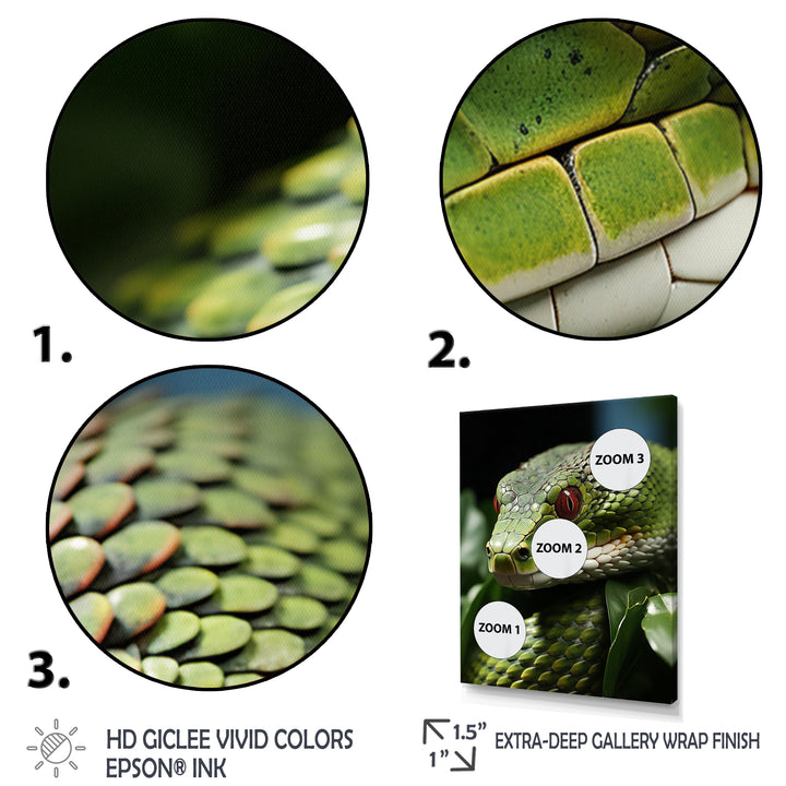 Portrait Of Green Snake Wildlife Photography - Snake Living Room Wall Art