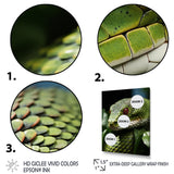 Portrait Of Green Snake Wildlife Photography - Snake Living Room Wall Art
