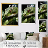 Portrait Of Green Snake Wildlife Photography - Snake Living Room Wall Art