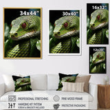 Portrait Of Green Snake Wildlife Photography - Snake Living Room Wall Art